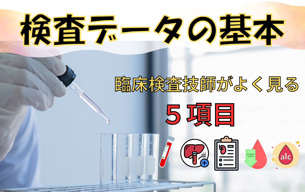 🥼 検査技師が教える💡検査データの見方｜基本のキ